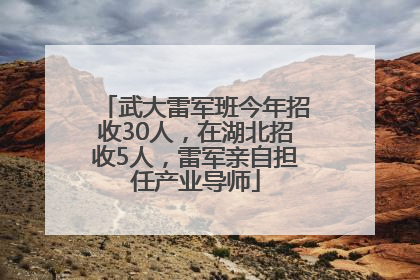 武大雷军班今年招收30人，在湖北招收5人，雷军亲自担任产业导师