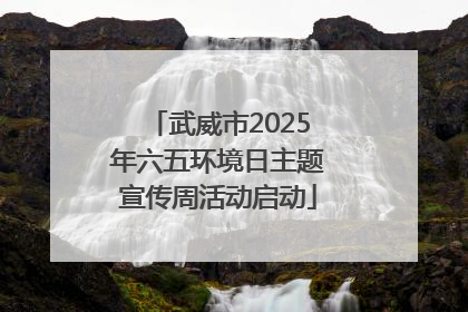武威市2025年六五环境日主题宣传周活动启动