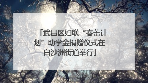 武昌区妇联“春蕾计划”助学金捐赠仪式在白沙洲街道举行