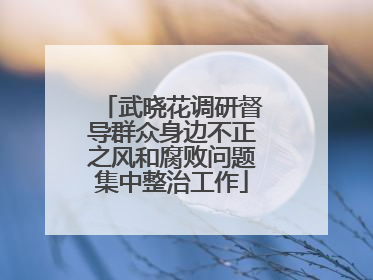 武晓花调研督导群众身边不正之风和腐败问题集中整治工作