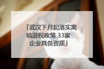 武汉下月起落实离境退税政策 33家企业具备资质