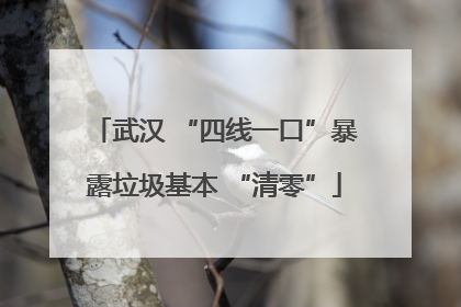 武汉 “四线一口”暴露垃圾基本 “清零”