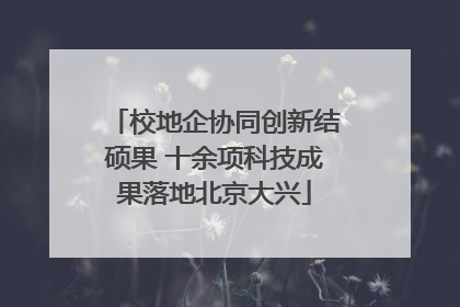 校地企协同创新结硕果 十余项科技成果落地北京大兴