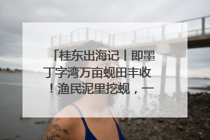 桂东出海记丨即墨丁字湾万亩蚬田丰收！渔民泥里挖蚬，一天上岸过千斤