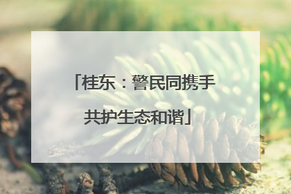 桂东：警民同携手 共护生态和谐
