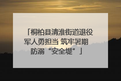 桐柏县清淮街道退役军人勇担当 筑牢暑期防溺“安全堤”