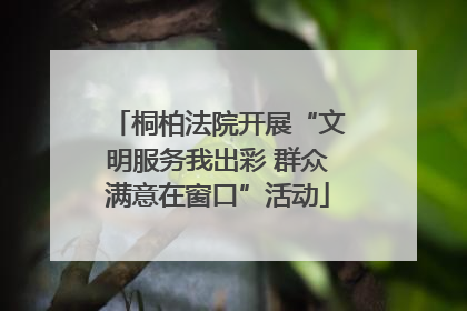 桐柏法院开展“文明服务我出彩 群众满意在窗口”活动