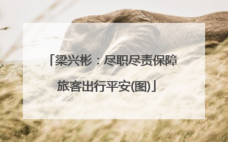 梁兴彬：尽职尽责保障旅客出行平安(图)