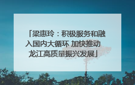 梁惠玲：积极服务和融入国内大循环 加快推动龙江高质量振兴发展