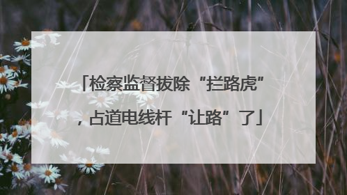 检察监督拔除“拦路虎”，占道电线杆“让路”了
