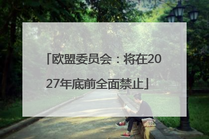 欧盟委员会：将在2027年底前全面禁止