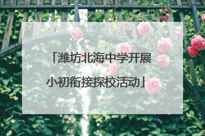 潍坊北海中学开展小初衔接探校活动