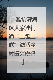潍坊滨海区大家洼街道“三包三联”激活乡村振兴密码