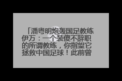 潘粤明炮轰国足教练伊万：一个装傻不辞职的所谓教练，你指望它拯救中国足球！此前曾多次发文评价国足