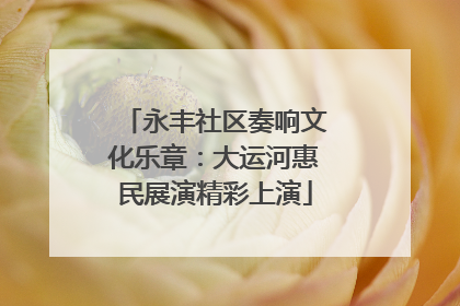 永丰社区奏响文化乐章：大运河惠民展演精彩上演