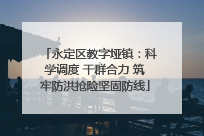 永定区教字垭镇：科学调度 干群合力 筑牢防洪抢险坚固防线