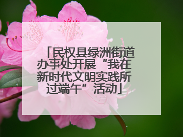 民权县绿洲街道办事处开展“我在新时代文明实践所过端午”活动