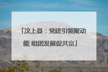 汶上县：党建引领聚动能 组团发展促共富