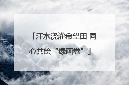 汗水浇灌希望田 同心共绘“绿画卷”