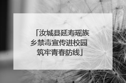 汝城县延寿瑶族乡禁毒宣传进校园 筑牢青春防线