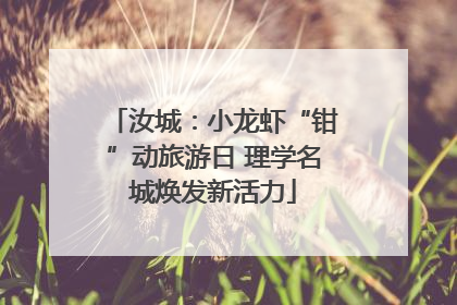 汝城：小龙虾“钳”动旅游日 理学名城焕发新活力