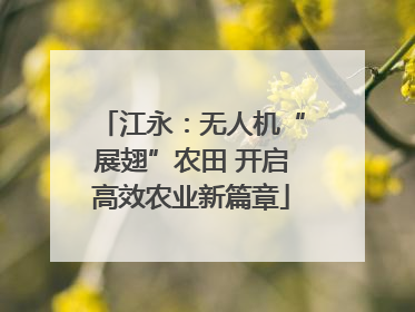 江永：无人机“展翅”农田 开启高效农业新篇章