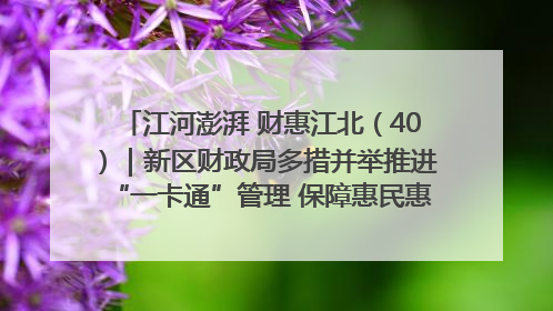 江河澎湃 财惠江北（40）｜新区财政局多措并举推进“一卡通”管理 保障惠民惠农补贴精准高效发放