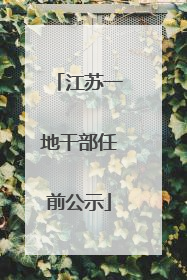 江苏一地干部任前公示