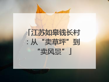 江苏如皋钱长村：从“卖草坪”到“卖风景”