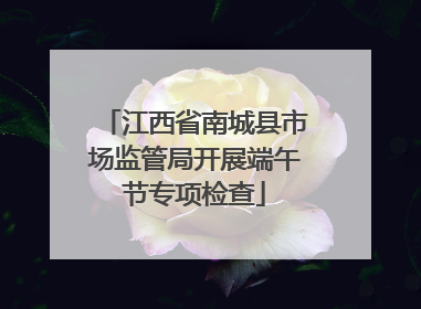 江西省南城县市场监管局开展端午节专项检查