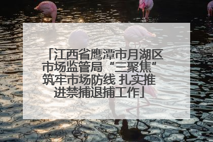 江西省鹰潭市月湖区市场监管局“三聚焦”筑牢市场防线 扎实推进禁捕退捕工作