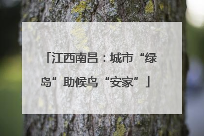 江西南昌：城市“绿岛”助候鸟“安家”