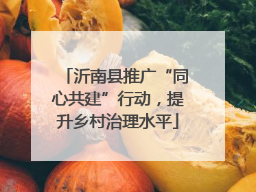 沂南县推广“同心共建”行动，提升乡村治理水平