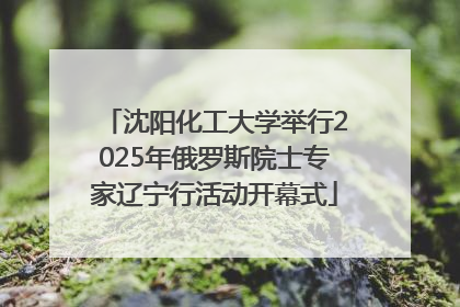 沈阳化工大学举行2025年俄罗斯院士专家辽宁行活动开幕式