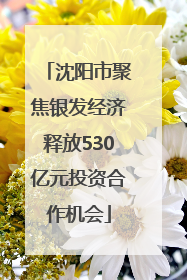 沈阳市聚焦银发经济释放530亿元投资合作机会