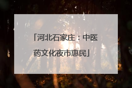 河北石家庄：中医药文化夜市惠民
