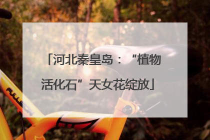 河北秦皇岛：“植物活化石”天女花绽放