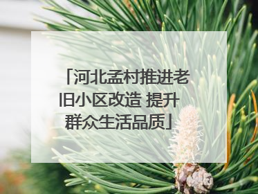 河北孟村推进老旧小区改造 提升群众生活品质