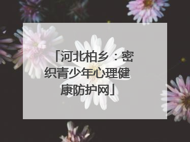 河北柏乡：密织青少年心理健康防护网