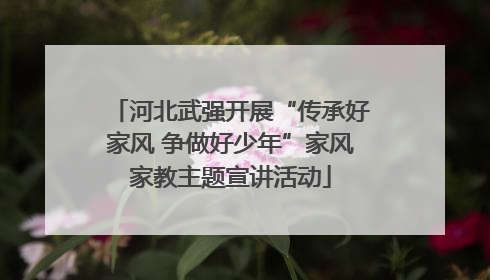 河北武强开展“传承好家风 争做好少年”家风家教主题宣讲活动