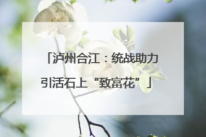泸州合江：统战助力引活石上“致富花”