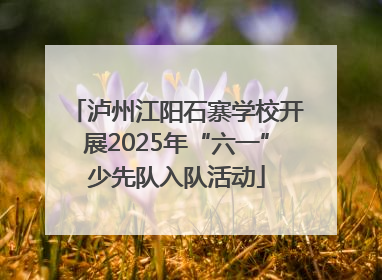 泸州江阳石寨学校开展2025年“六一”少先队入队活动