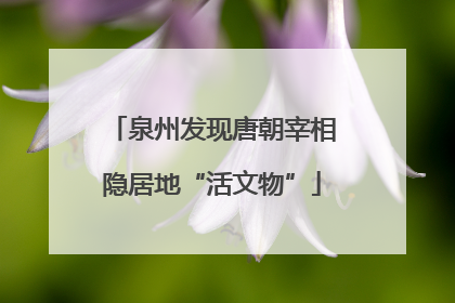 泉州发现唐朝宰相隐居地“活文物”