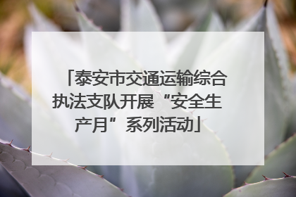 泰安市交通运输综合执法支队开展“安全生产月”系列活动