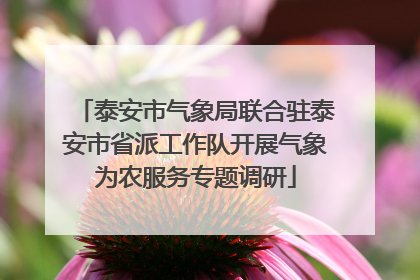 泰安市气象局联合驻泰安市省派工作队开展气象为农服务专题调研