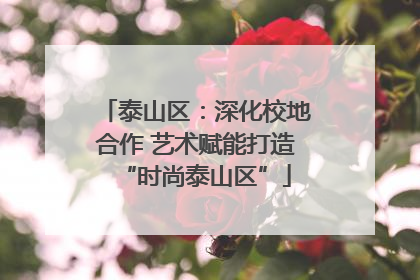 泰山区：深化校地合作 艺术赋能打造“时尚泰山区”
