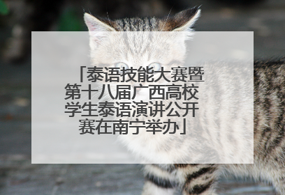 泰语技能大赛暨第十八届广西高校学生泰语演讲公开赛在南宁举办
