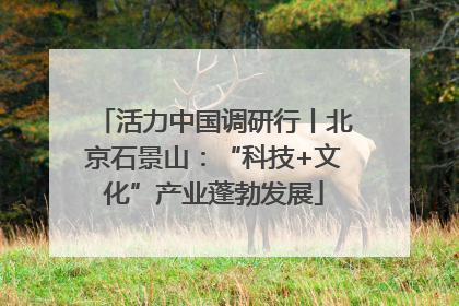 活力中国调研行丨北京石景山：“科技+文化”产业蓬勃发展