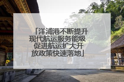 洋浦港不断提升现代航运服务能级 促进航运扩大开放政策快速落地