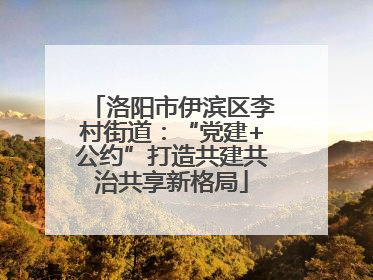 洛阳市伊滨区李村街道：“党建+公约”打造共建共治共享新格局